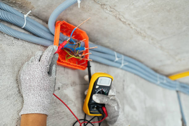 Best Electric Panel Repair  in Morrison, IL