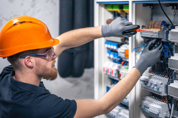 Best Electrician for Home Renovation  in Morrison, IL